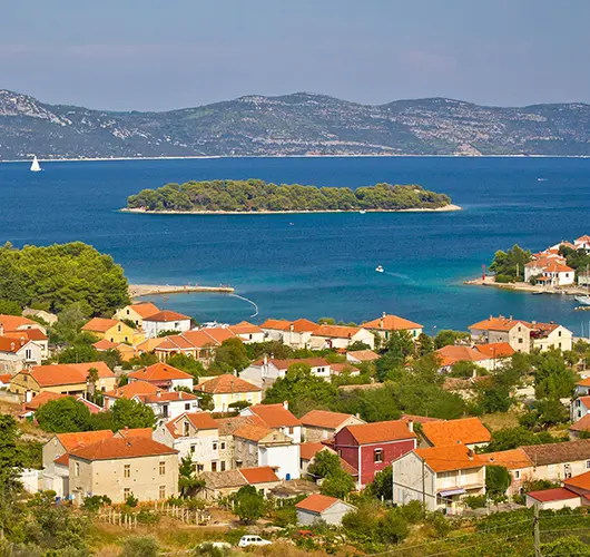 Iž