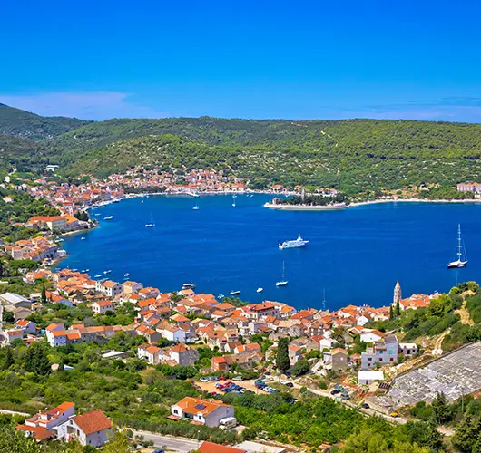 Vis
